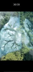 -姜美堂·蒸姜除湿の纤体美颜馆