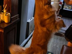 -后院儿·精酿·塔罗Happy Bar