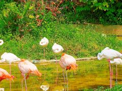 -杭州野生动物世界