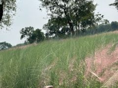 -汉长安城未央宫国家考古遗址公园