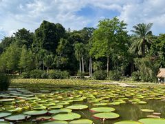 -中国科学院西双版纳热带植物园