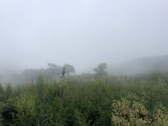 -妙峰山风景名胜区