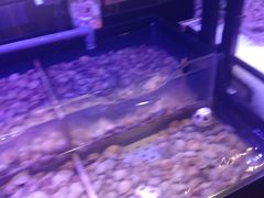-韩盛·盛江山自助料理(中街大悦城店)
