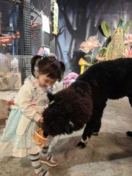 -酷嗒动物文化乐园(cutezoo西溪乐天城店)