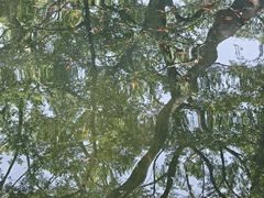 -晓港公园