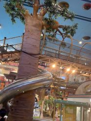 -卡通尼·Safari非洲探索乐园·生日会(金桥国际商业广场店)