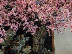 -鸥迪足道(湖南示范店)