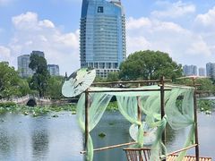 -无锡蠡湖国家湿地公园-蠡园