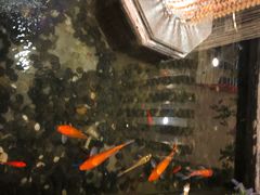 -静之湖湖畔餐厅