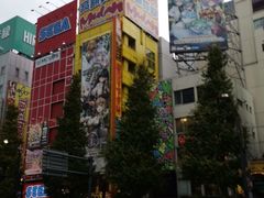 -秋叶原电器街