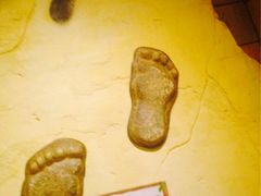 iphone_upload_pic-信不信由你博物馆