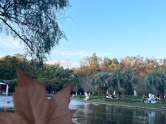 -上海共青森林公园