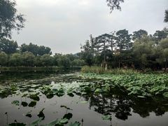 -承德避暑山庄景区