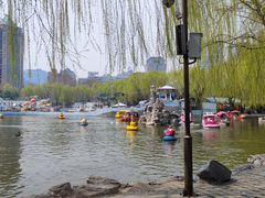 -团结湖公园