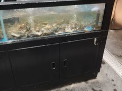 -盒马鲜生(首义店)