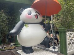 -轩客会(熊猫书店)