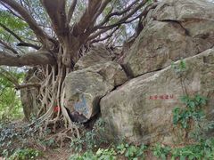 -宋井风景区