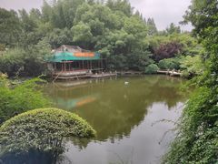 -汇龙潭