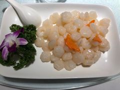 -席家花园(巨鹿花园店)