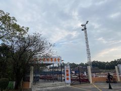 -三水森林公园