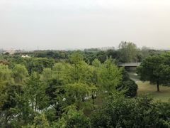 -上海佘山世茂艾美酒店