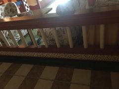 -栖巢咖啡馆(双岗店)