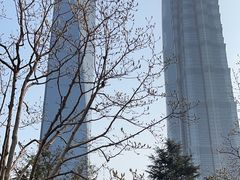 -陆家嘴中心绿地