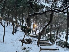 -信号山公园