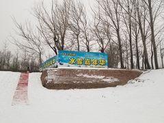 -1982农场