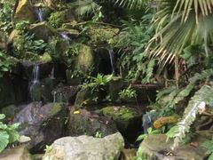 -新加坡飞禽公园