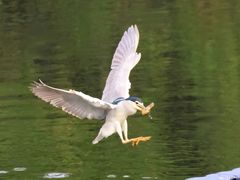 -重庆彩云湖湿地公园