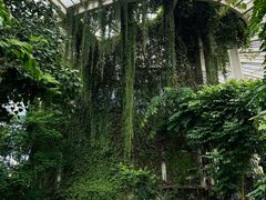 -昆明植物园