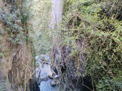 -鹿院坪生态旅游景区