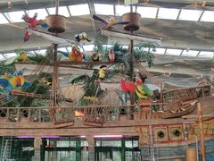 -南宫五洲植物乐园