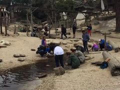 -疏芬山金矿