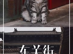 -东关街美食广场