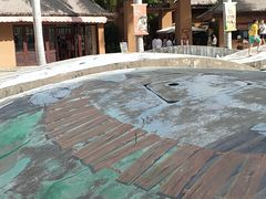 -亚马逊丛林水乐园