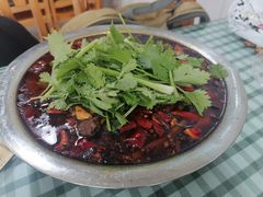 醉牛肉-无味饭店(九眼桥商业文化广场店)