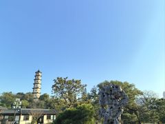 -江心屿景区