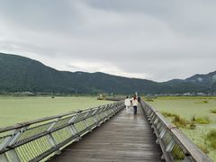 -腾冲北海湿地