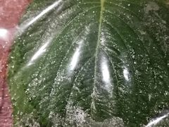 -新石器烤肉(中房金谊广场店)