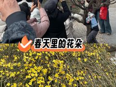 -碑林公园