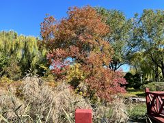 -济南国际园博园