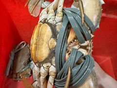 -老财炒饭·熟地蟹·冬瓜蟹