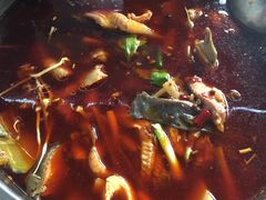 -黑龙滩生态鱼火锅(百寿路店)