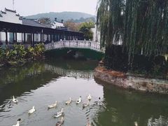 -雅和生态渔庄·宜城锅巴饭(龙灵山公园店)