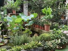 -园林美食城·本土农家菜(杨和镇店)