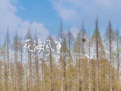 -东平国家森林公园