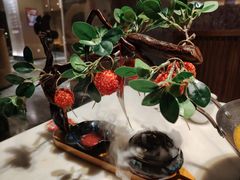 -唐猫庭院·千年陕菜(大唐不夜城店)