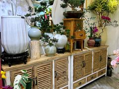 -溪岸路花鸟市场